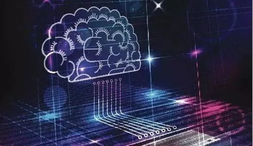 大數據抗疫 技術優勢與基層智慧的雙重奏