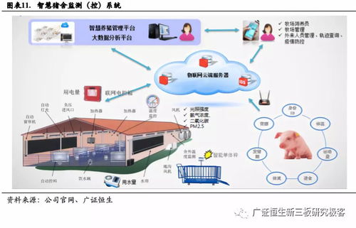 深耕物聯網嵌入式技術，利爾達（832149.OC）如何打造產業鏈一站式服務？